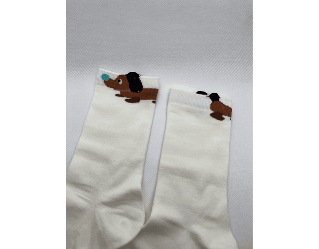 Calcetines perro salchicha