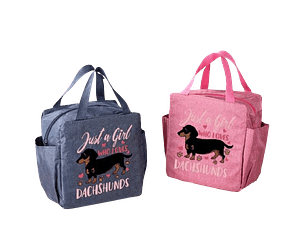 Loncheras Just a girl who loves dachshunds