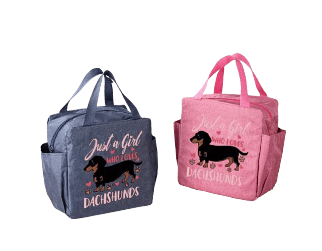 Loncheras Just a girl who loves dachshunds