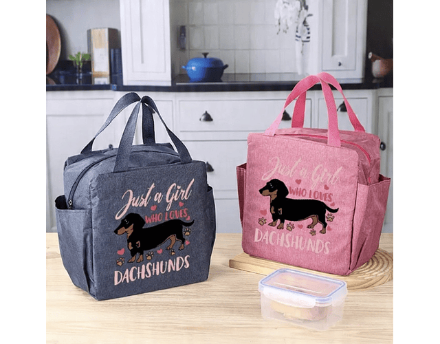 Loncheras Just a girl who loves dachshunds