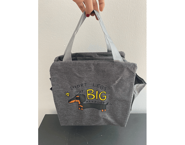 Loncheras Big Attitude!