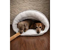 Salchiglú Lino – Cama Cueva para Dachshund