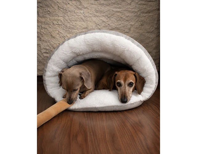 Salchiglú Lino – Cama Cueva para Dachshund