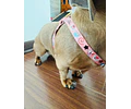 Arnés tipo Y para Dachshund – Tamaño Kaninchen / Cachorro 