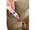Arnés tipo Y para Dachshund – Tamaño Kaninchen / Cachorro 