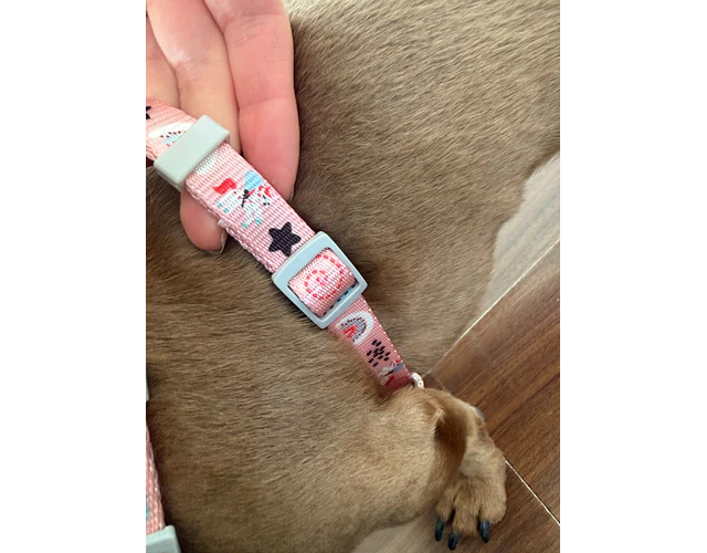 Arnés tipo Y para Dachshund – Tamaño Kaninchen / Cachorro 