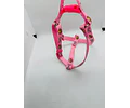 Arnés Tipo Y para Dachshund – Tamaño Miniatura 🐾