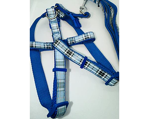 Arnés Y para Dachshund – Tamaño Standard 🐾
