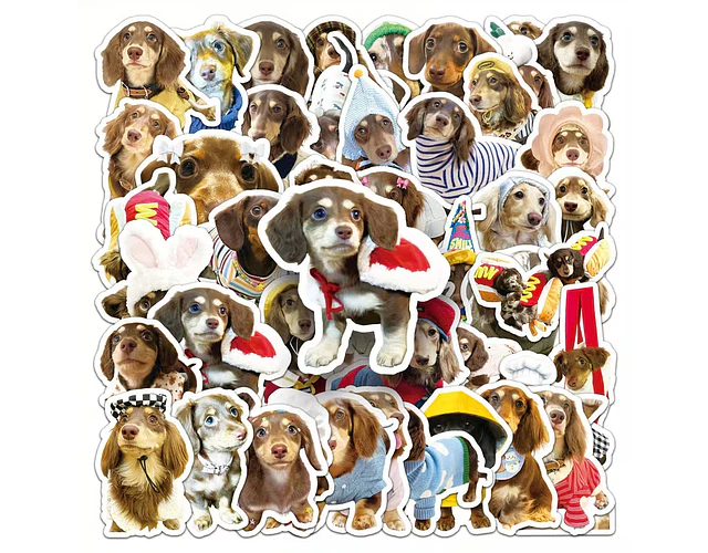 50 stickers perritos salchicha