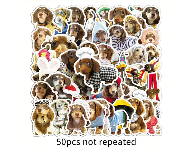 50 stickers perritos salchicha