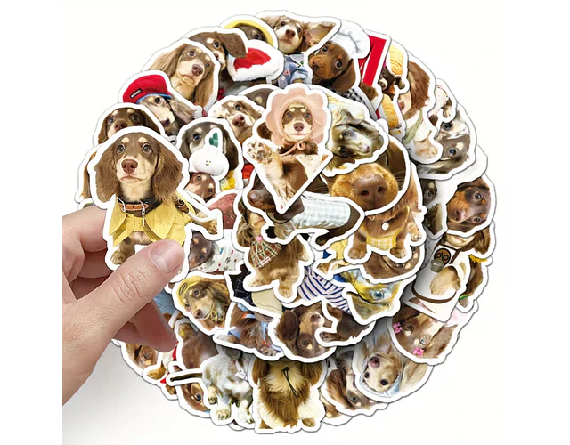 50 stickers perritos salchicha