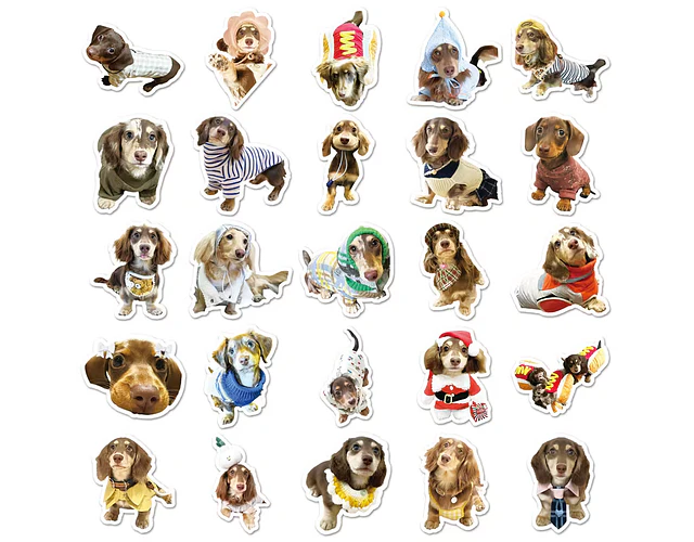 50 stickers perritos salchicha