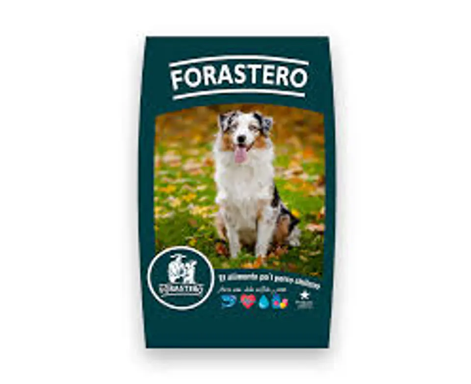 FORASTERO ADULTO 20K 1