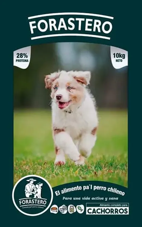 FORASTERO CACHORRO 10K
