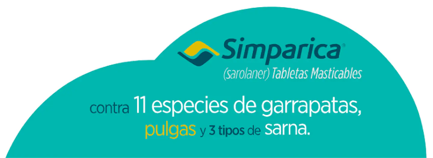 Alimentos CatDog