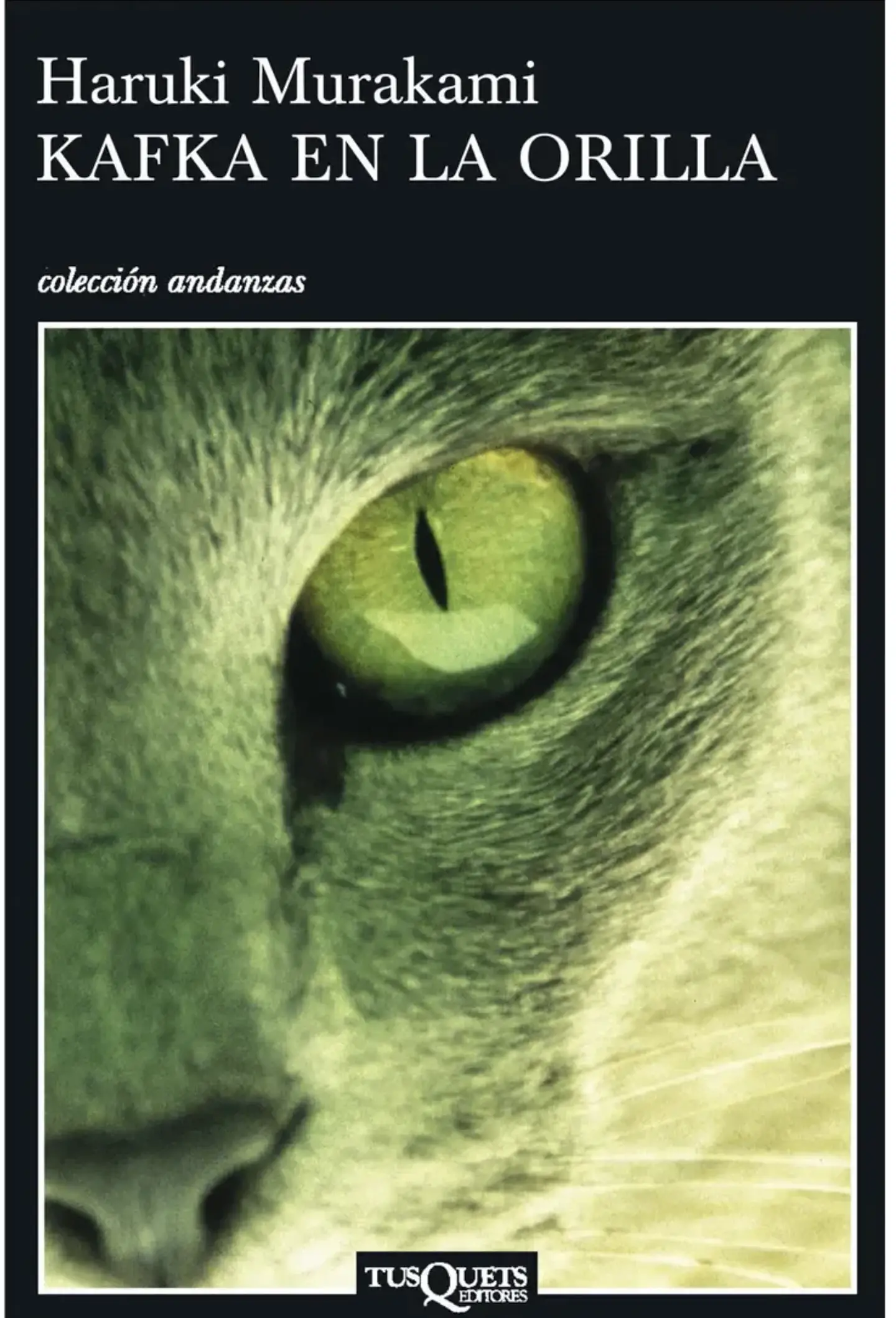 Kafka En La Orilla Aplica De Haruki Murakami Editorial Tusquets 1