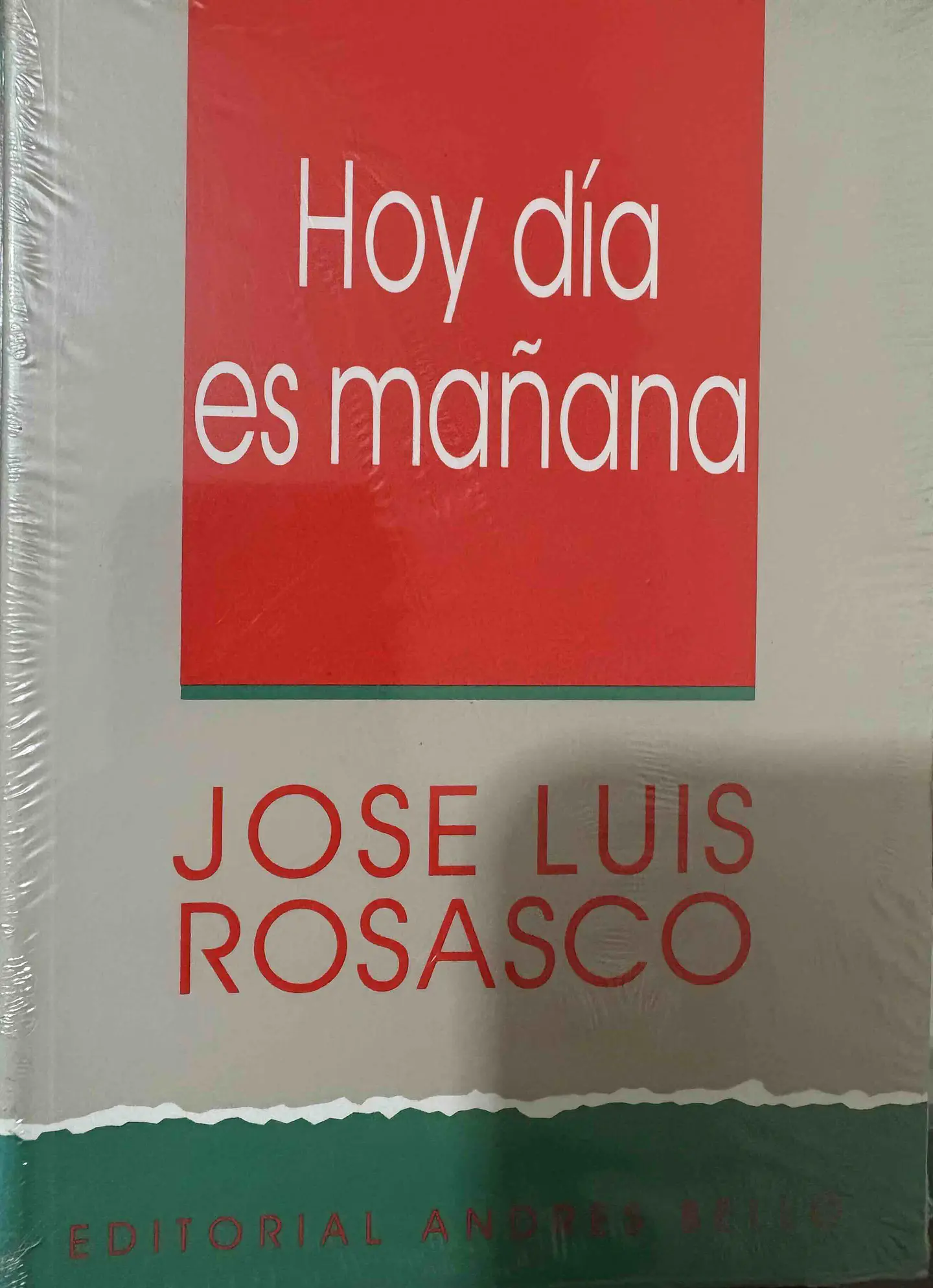 Hoy Dia Es Mañana De Jose Luis Rosasco 1