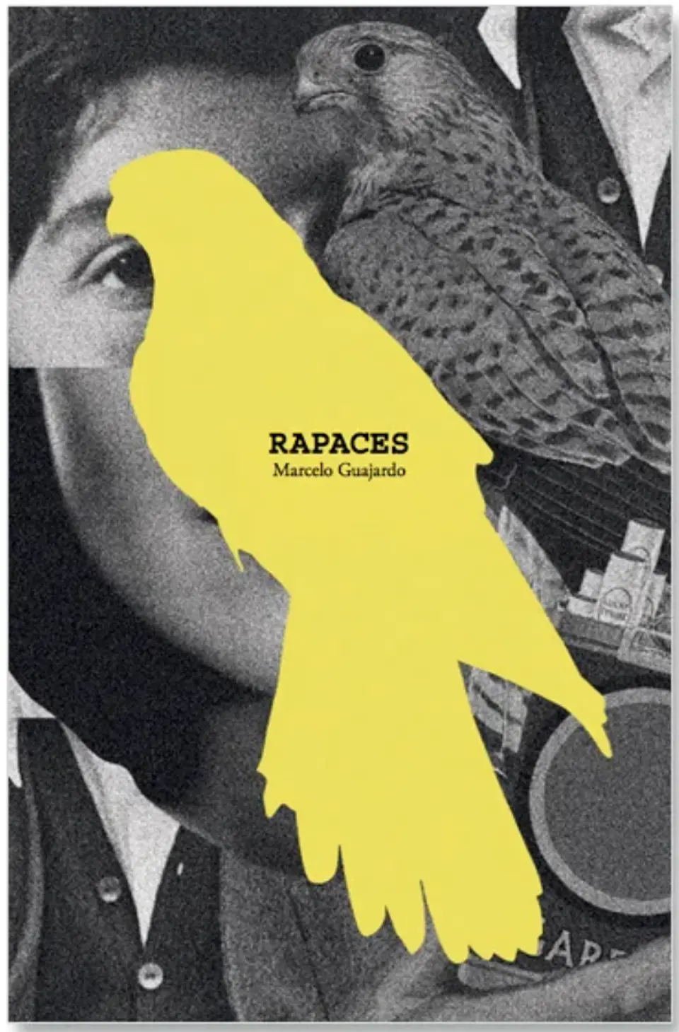 Libro Rapaces 1