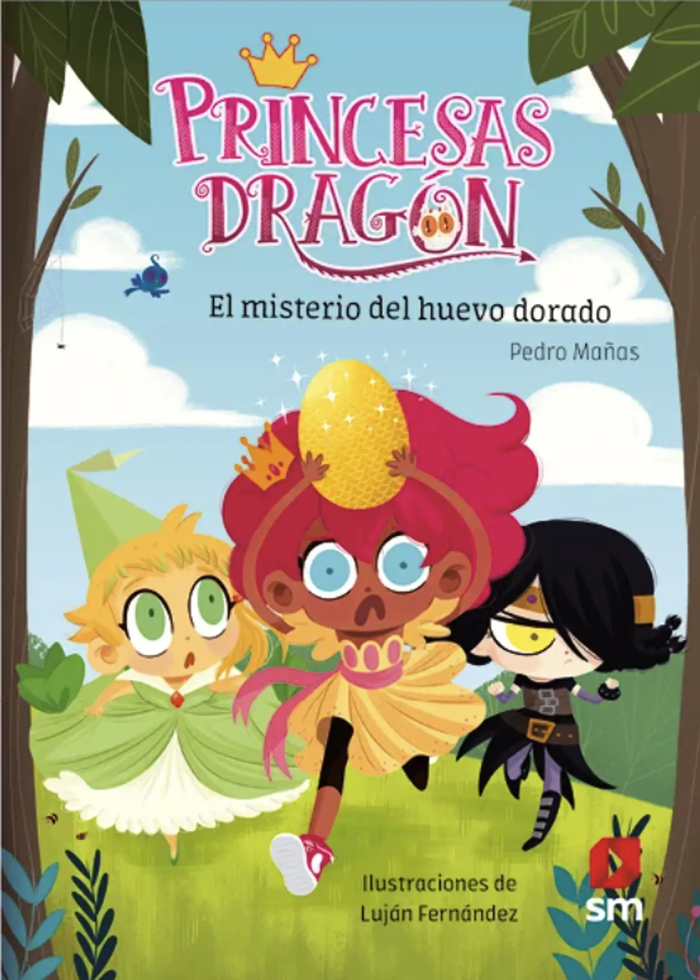 Libro Princesas Dragon 1 El Misterio Del Huevo 1