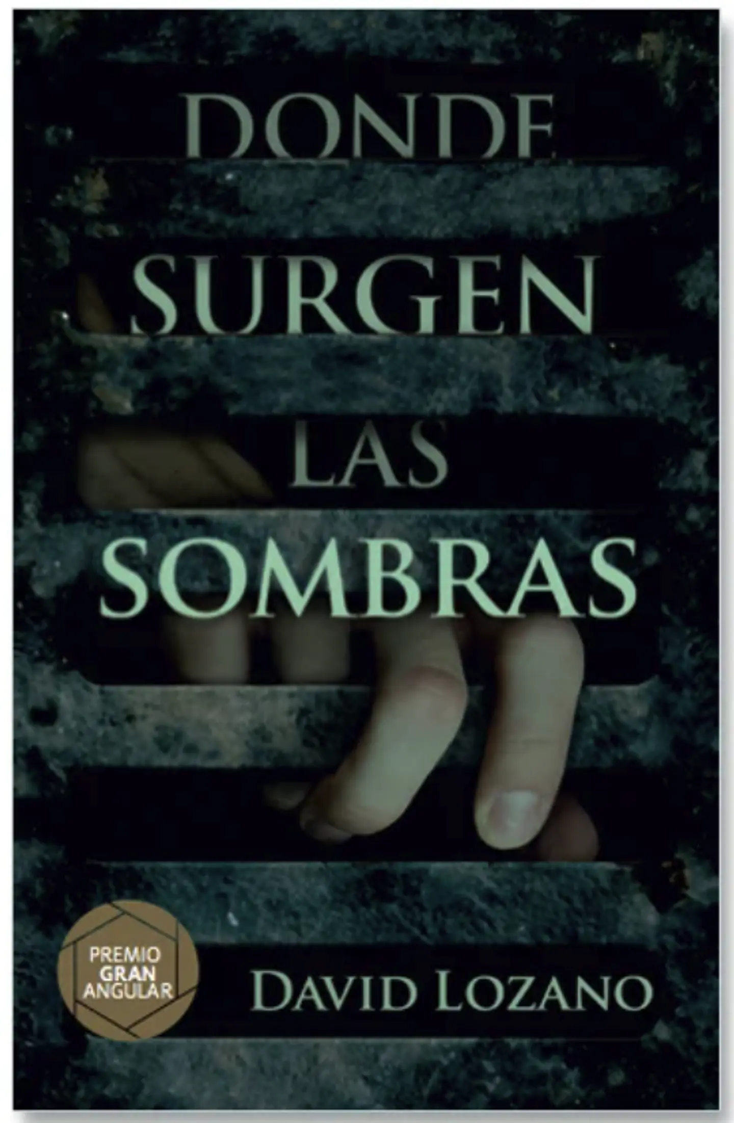 Libro Donde Surgen Las Sombras 1