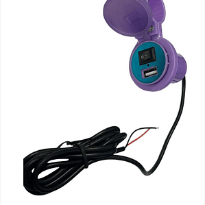 Cargador Usb Morado 12v  2.1A