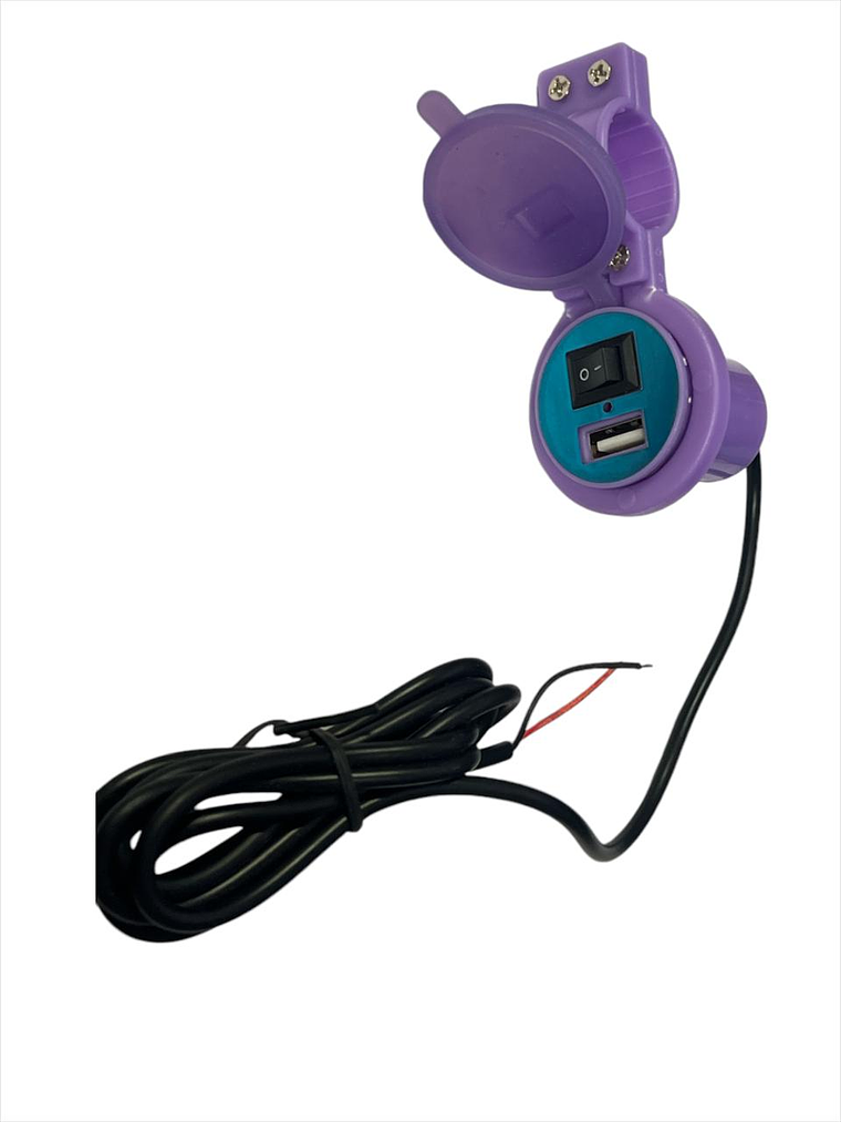 Cargador Usb Morado 12v  2.1A 1