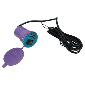 Cargador Usb Morado 12v  2.1A