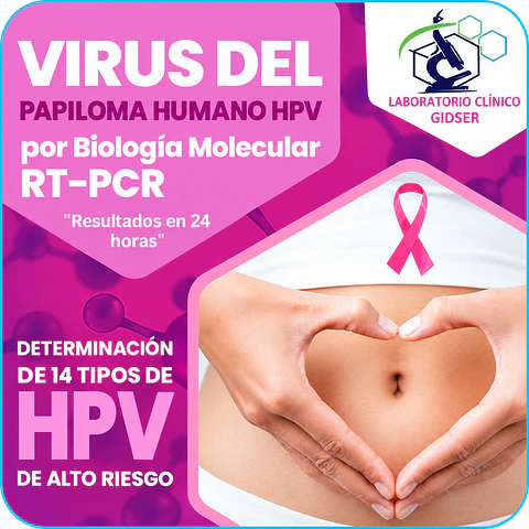 TEST VIRUS DEL PAPILOMA HUMANO  VPH