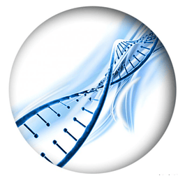 PRUEBAS DE PATERNIDAD (ADN) Anónima disponible