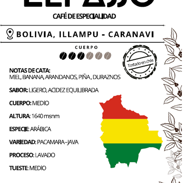 ELPASSO, Café de especialidad -  Bolivia, Illampu - Caranavi 2