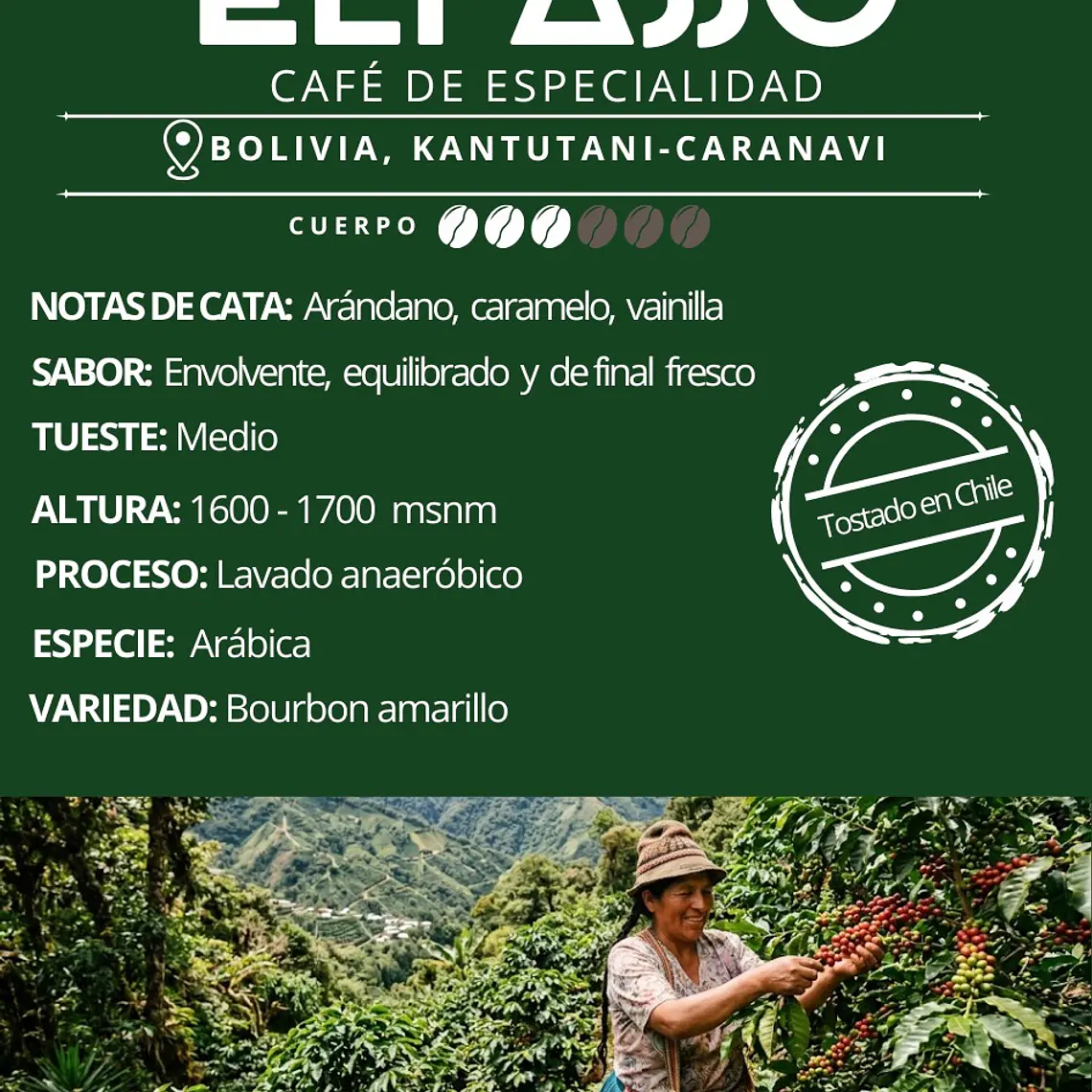 ELPASSO, Café de especialidad -  Bolivia, Kantutani - Caranavi 2