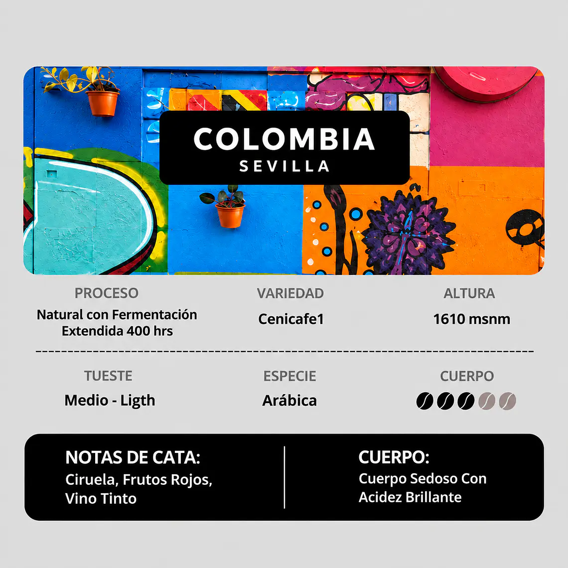 Colombia, Sevilla | Natural Fermentado 400 hrs | Cenicafe 1 1