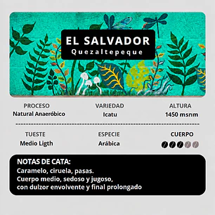 El Salvador, Quezaltepec | Natural 96 hrs fermentación | Icatu