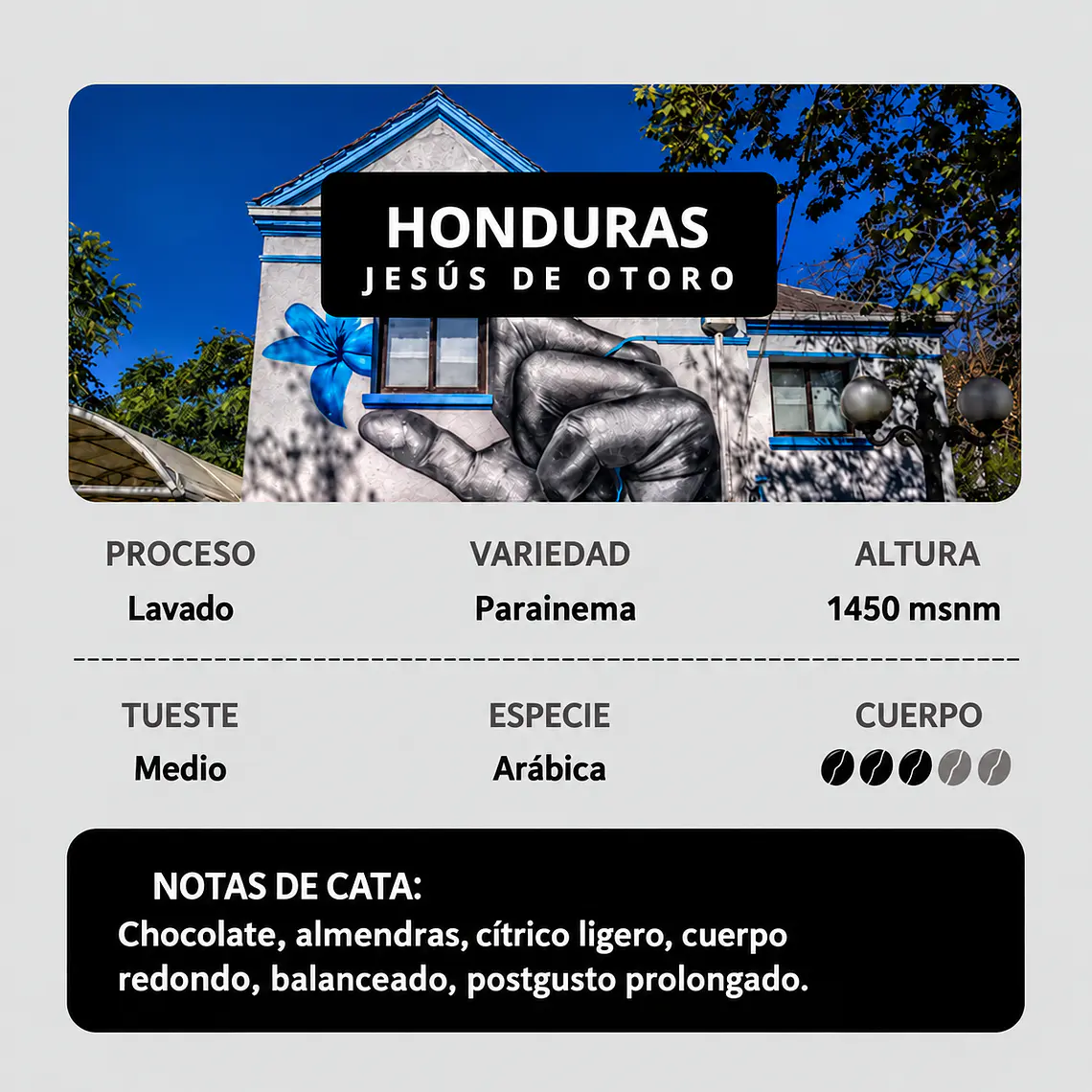 Honduras, Jesús de Otoro | Lavado | Parainema 1