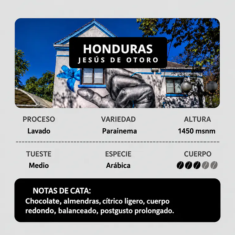 Honduras, Jesús de Otoro | Lavado | Parainema 1
