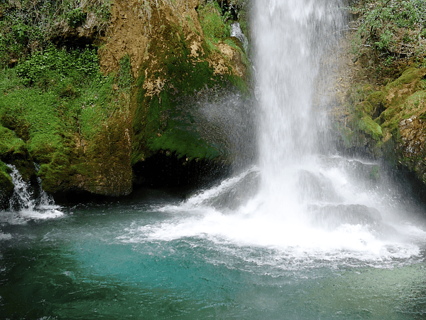 Berry Balance Fuxion: para qué sirve, cómo se toma y beneficios