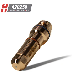 ELECTRODO 420258