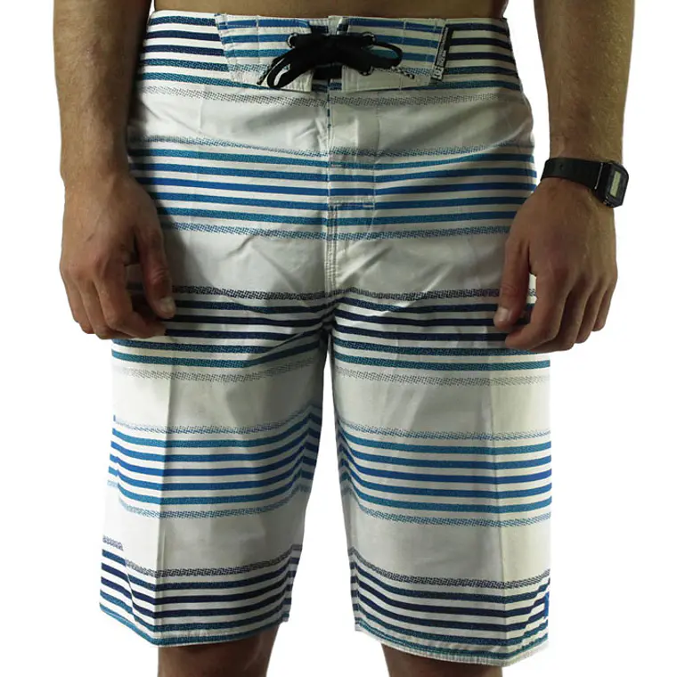 Boardshorts DC Bixler 1