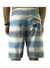 Boardshorts DC Bixler