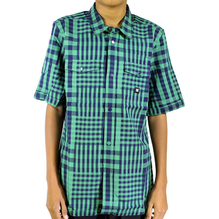 Camisa DC Wild Ride 1