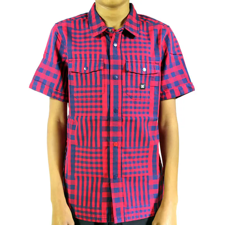 Camisa DC Wild Ride 1