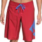 Boardshorts DC Lanai 22