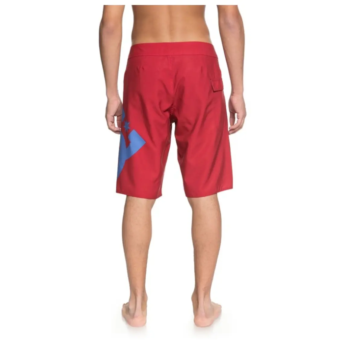 Boardshorts DC Lanai 22