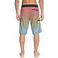 Boardshorts DC Stroll It 22