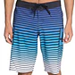 Boardshorts DC Stroll It 22