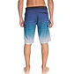 Boardshorts DC Stroll It 22