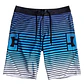 Boardshorts DC Stroll It 22