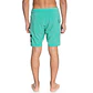 Boardshorts DC Local Lopa 18