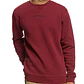 Sweatshirt Básica DC Craigburn 2 - Thumbnail 1