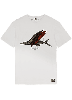 T-Shirt Picture Mens D&S Flyfi Tee